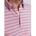 Isle Polo - Pacific Atoll Stripe